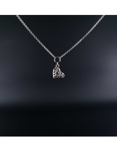 Collier en Argent pendentif...