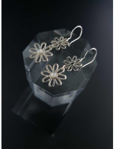 Boucles d'oreilles en...